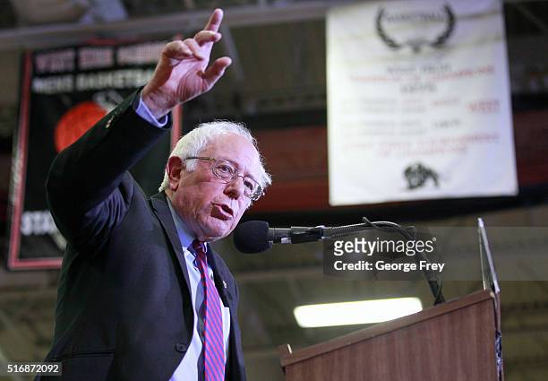 Democratic presidential candidate Bernie Sanders speaks during a campaign rally at West High School on March 21, 2016 in Salt Lake City, Utah. The...