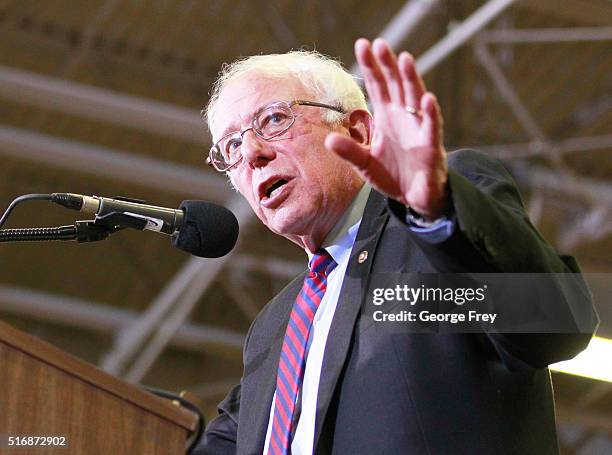 Democratic presidential candidate Bernie Sanders speaks during a campaign rally at West High School on March 21, 2016 in Salt Lake City, Utah. The...