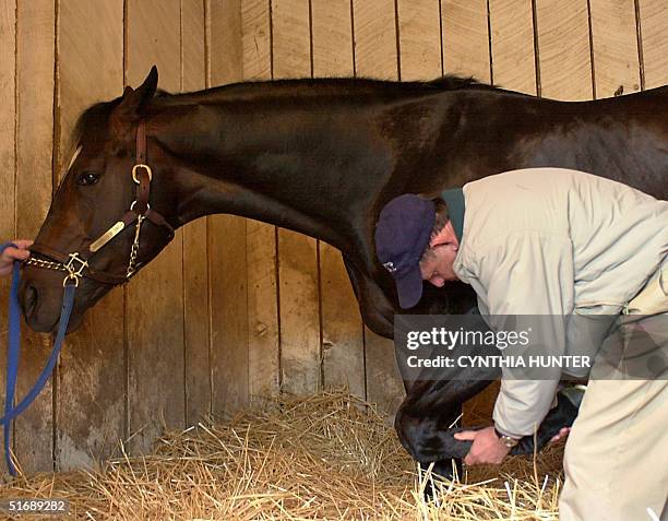 Vet Ken Reed gives a final soundness check to Kentucky Derby hopeful Medaglia D'Oro in the stable after morning workouts for the 128th Kentucky Derby...