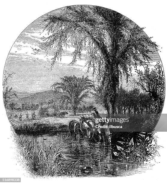 antique illustration of fields and white mountains (new hampshire). - white mountain national forest stock illustrations