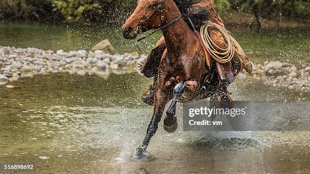 cowboy riding his horse across a stream - horse running water stock pictures, royalty-free photos & images