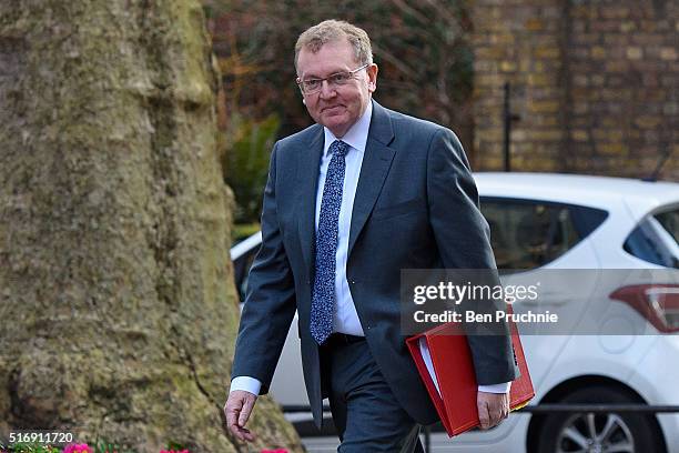 Scotland Secretary David Mundell arrives for the weekly cabinet meeting chaired by British Prime Minister David Cameron at Number 10 Downing Street...