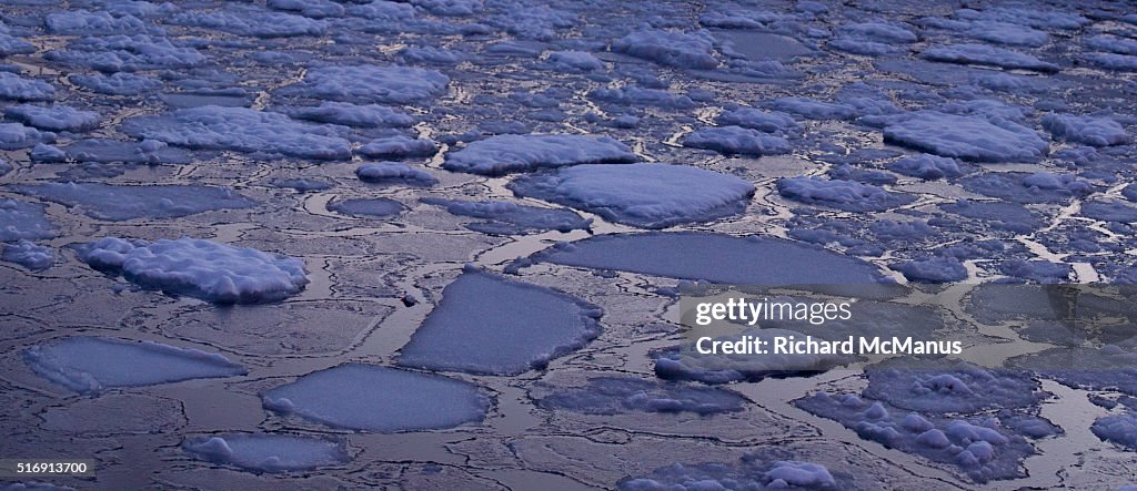 Ice in Rausu harbour at dawn.