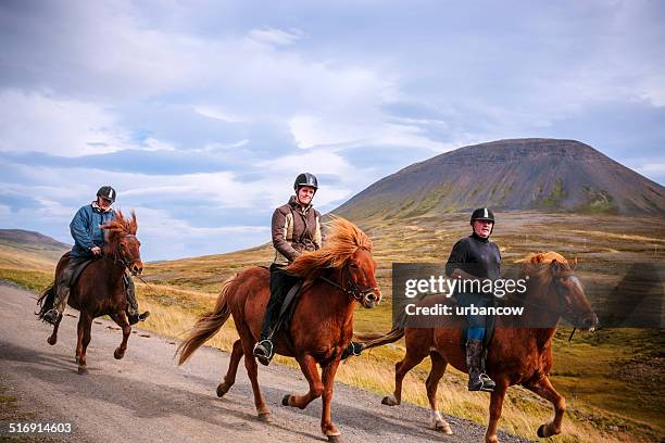 riding icelandic ponies - icelandic horse stock pictures, royalty-free photos & images