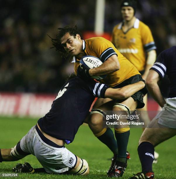 Scott Macleod Rugby George Macleod Photos and Premium High Res Pictures - Getty Images