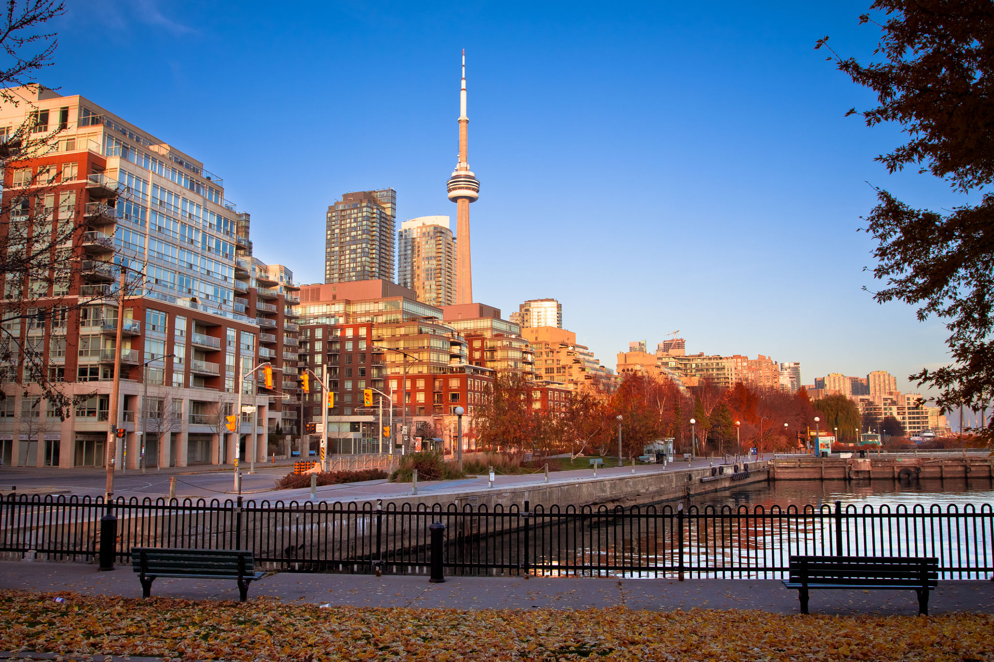 fall toronto