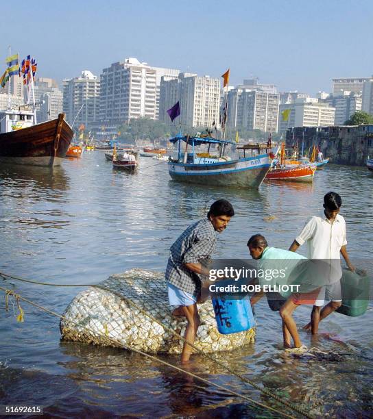 39 Floatable Stock Photos, High-Res Pictures, and Images - Getty Images