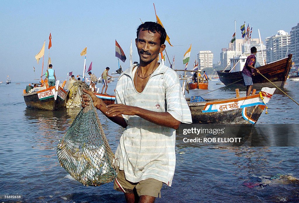 An Indian fisherman carries a net full of fish ashore as fishing News  Photo - Getty Images