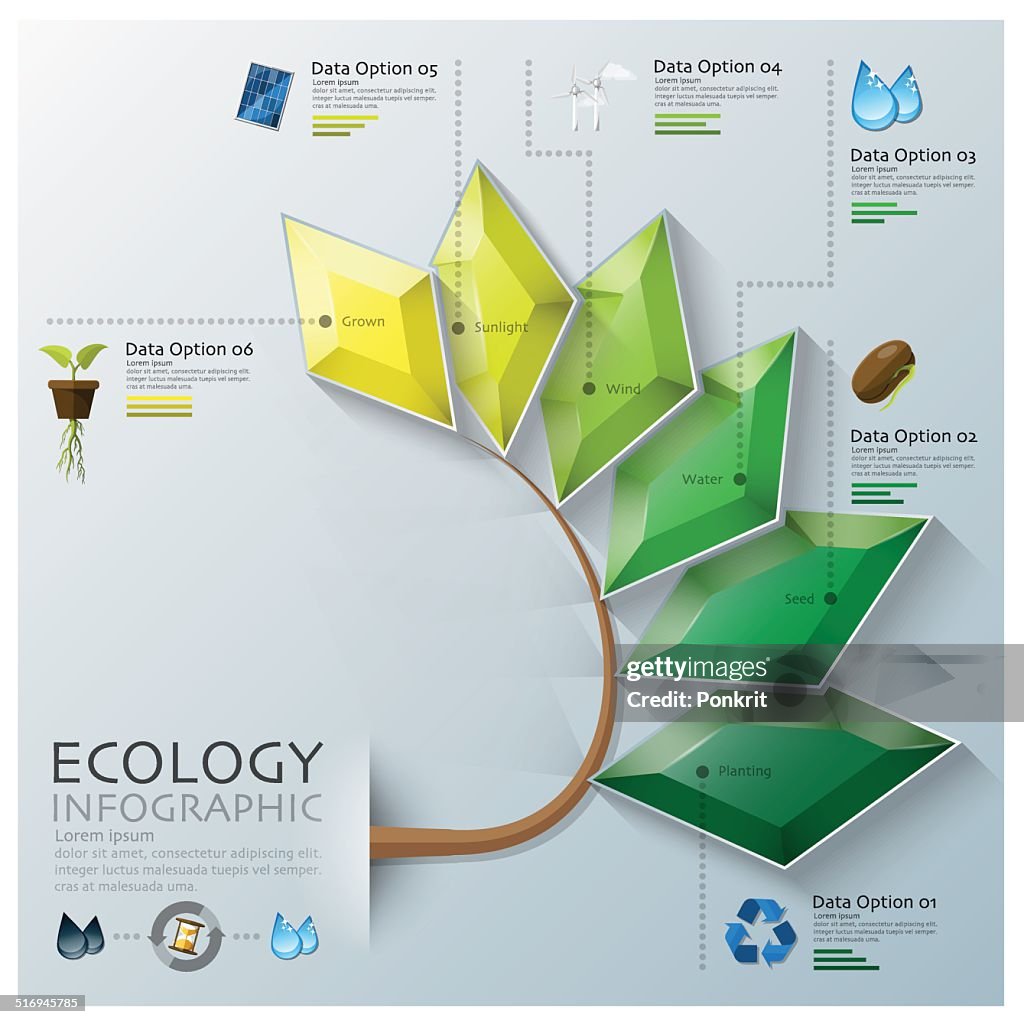 Environmental Geometry Leaf Shape Three Dimension Polygon Ecology And Environment Infographic ...