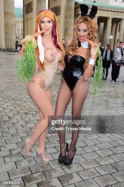 Micaela Schaefer, Sarah Joelle Jahnel during the Micaela Schaefer Easter Photo Call At Brandenburg Gate on March 22, 2016 in Berlin, Germany.