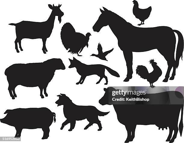 illustrations, cliparts, dessins animés et icônes de animaux de la ferme-cheval, vache, cochon, chèvre, fox, du poulet coq - chevre animal