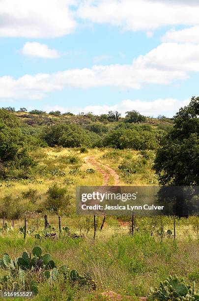 texas hill country lonely dirt road - live oak tree texas stock pictures, royalty-free photos & images