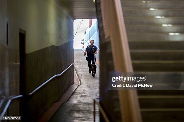 Police officer and bomb sniffing dog patrol Union Station train hub as security is heightened in reaction to bomb attacks in Brussels, Belgium this...