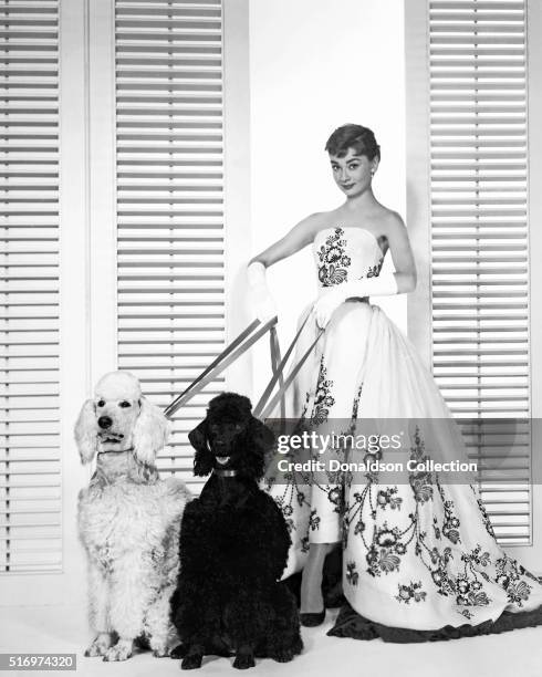 Actress Audrey Hepburn poses for a publicity still for the Paramount Pictures film 'Sabrina' in 1954 in Los Angeles, California.