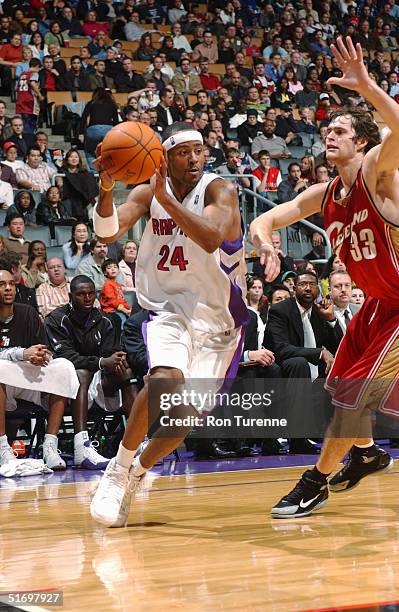 Luke Raptors Luke Peterson Photos and Premium High Res Pictures - Getty Images