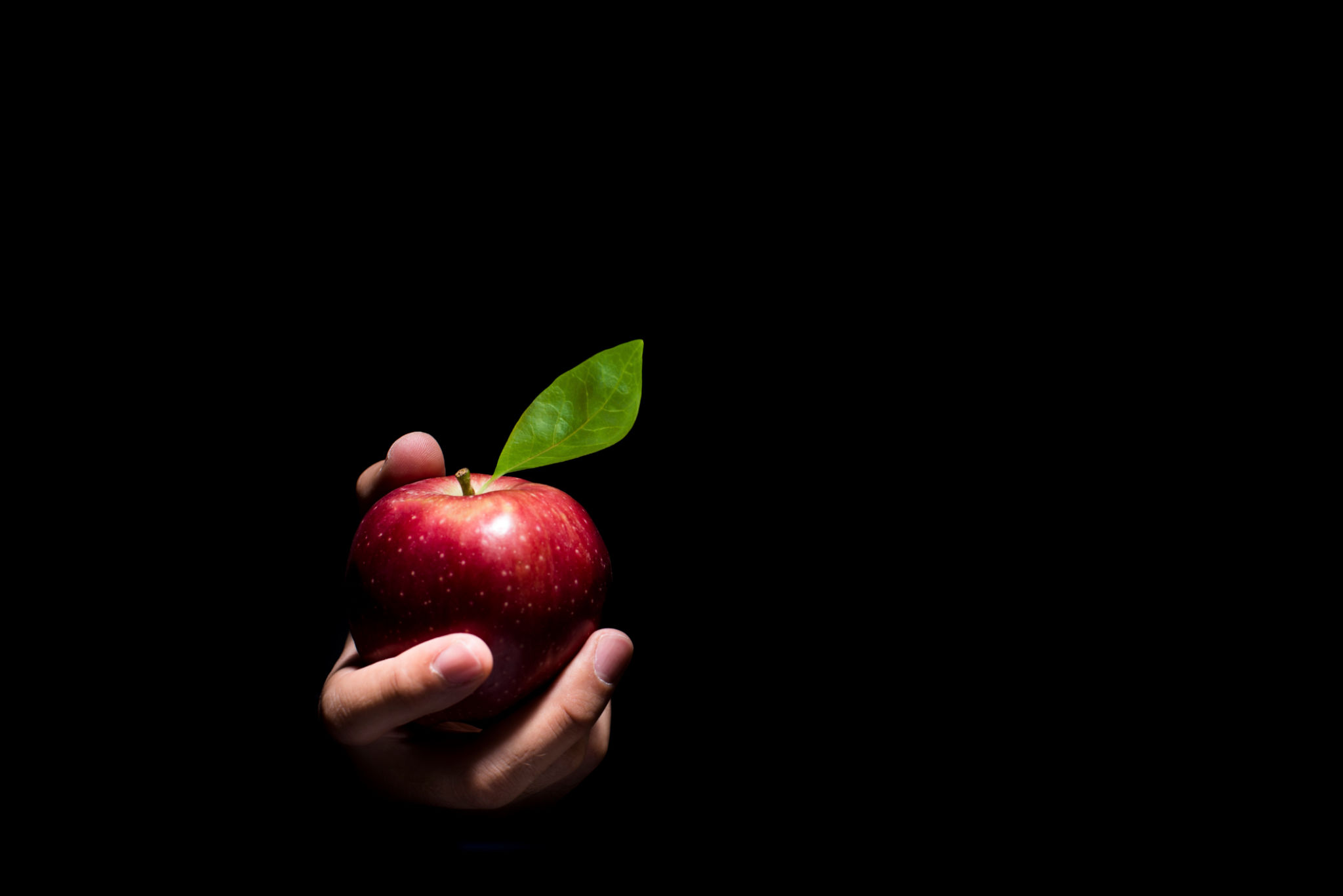 Hand offering an apple. Hand offering an apple.
