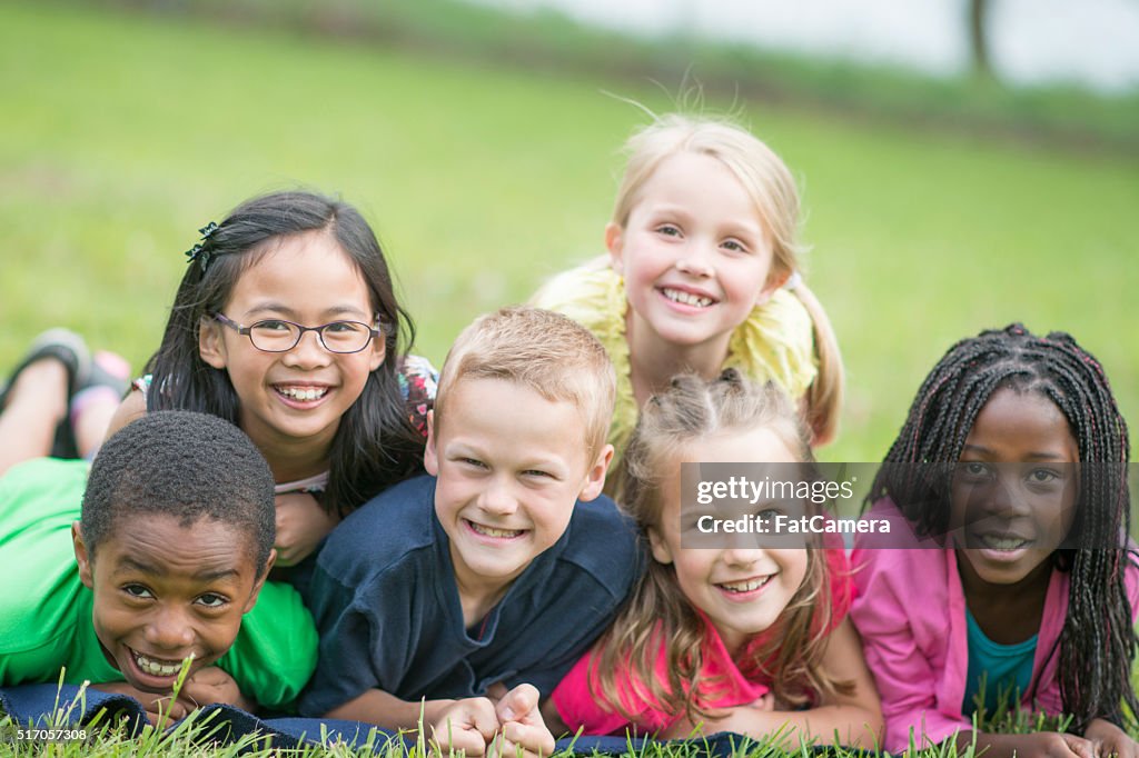 Dog Pile at the Park