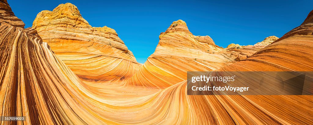 The Wave iconic sandstone swirls eroded golden curves Arizona panorama