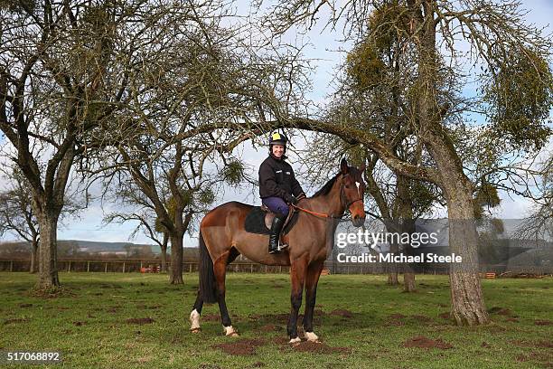 Richard Johnson the National Hunt champion elect jockey poses for a portrait at his family farm on Looks Like Trouble who he rode to victory in the...