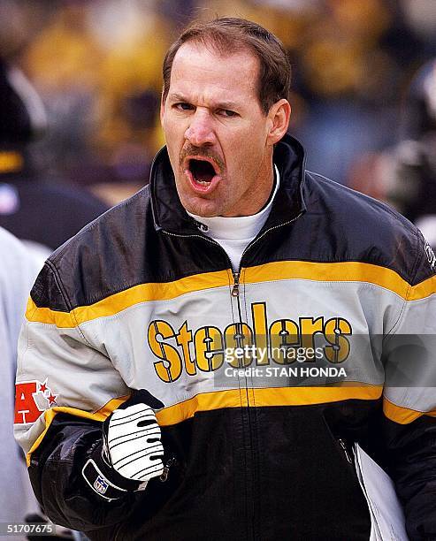 Pittsburgh Steelers' coach Bill Cowher celebrates after the Steelers scored a touchdown in the fourth quarter during the AFC Divisional Playoff game...