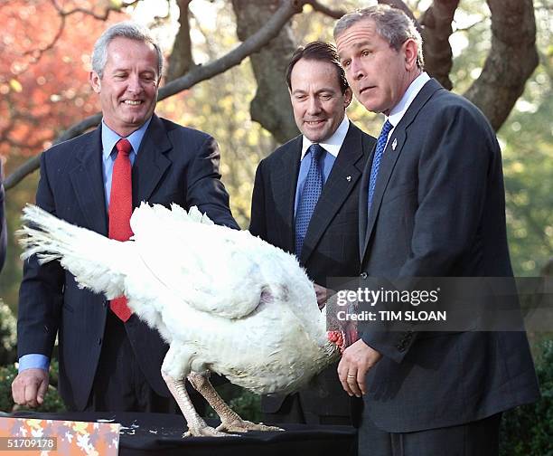 President George W. Bush joined by turkey farmers Jeff Radford and Stuart Proctor meets Liberty, the turkey to receive the annual Thanksgiving...