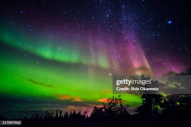 aurora borealis - yellowknife canada stock-fotos und bilder