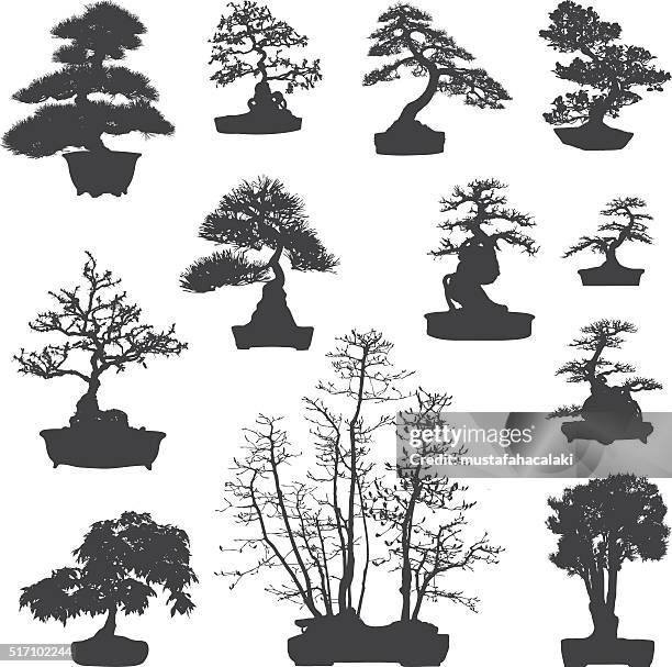 bildbanksillustrationer, clip art samt tecknat material och ikoner med bonsai tree silhouettes set - bonsaiträd