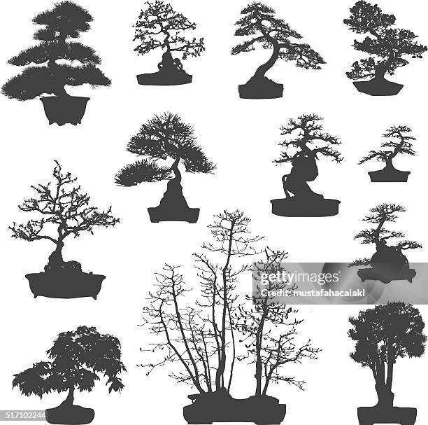 bonsai tree silhouettes set - banzai stock illustrations