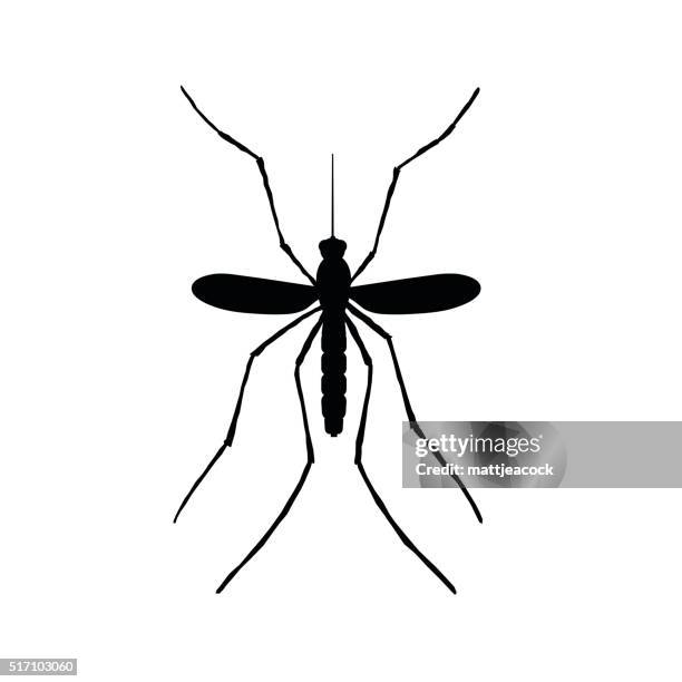 mosquito illustration - mosquito stock illustrations