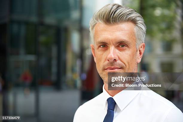 portrait of a business man - grey hair stock pictures, royalty-free photos & images