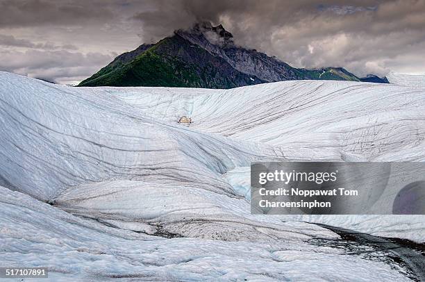 pattern of glacier - root glacier stock-fotos und bilder