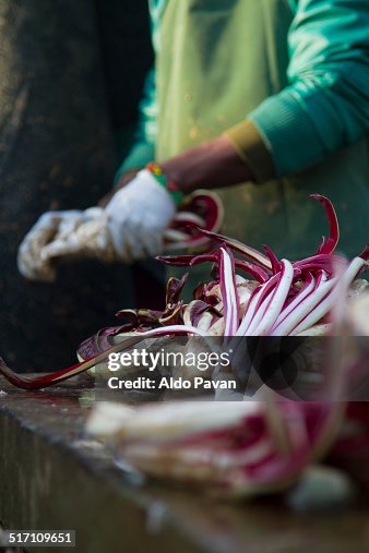 Red chicory processing Red chicory processing