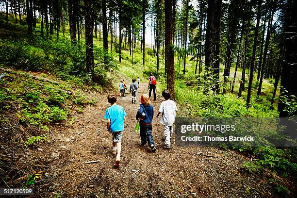 group of young kids walking on trail in forest - campamento de verano fotografías e imágenes de stock