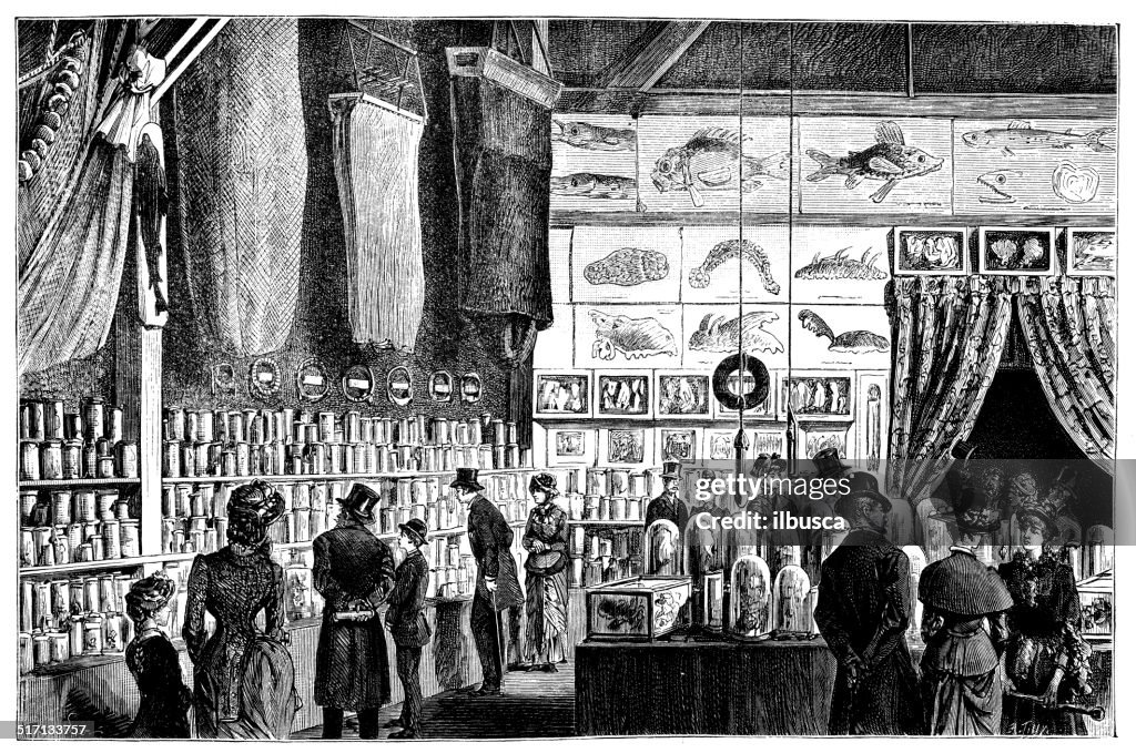 Antique illustration of Museum of Natural History