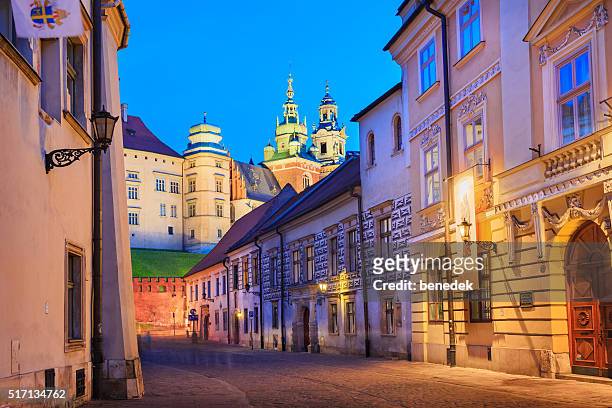 wawel castle and old town krakow poland - wawel cathedral stock pictures, royalty-free photos & images