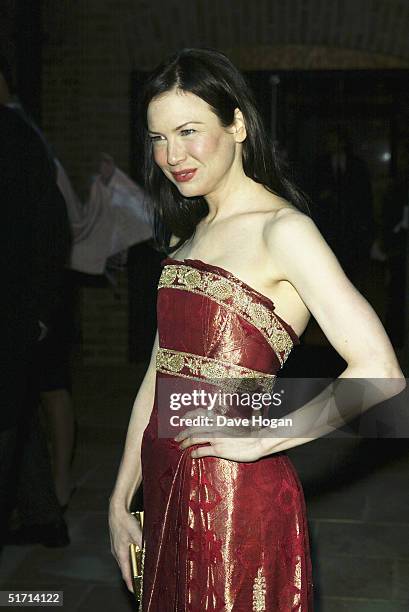 Actress Renee Zellweger attends the aftershow party following the UK Gala Premiere of "Bridget Jones: The Edge Of Reason", at Tobacco Dock on...