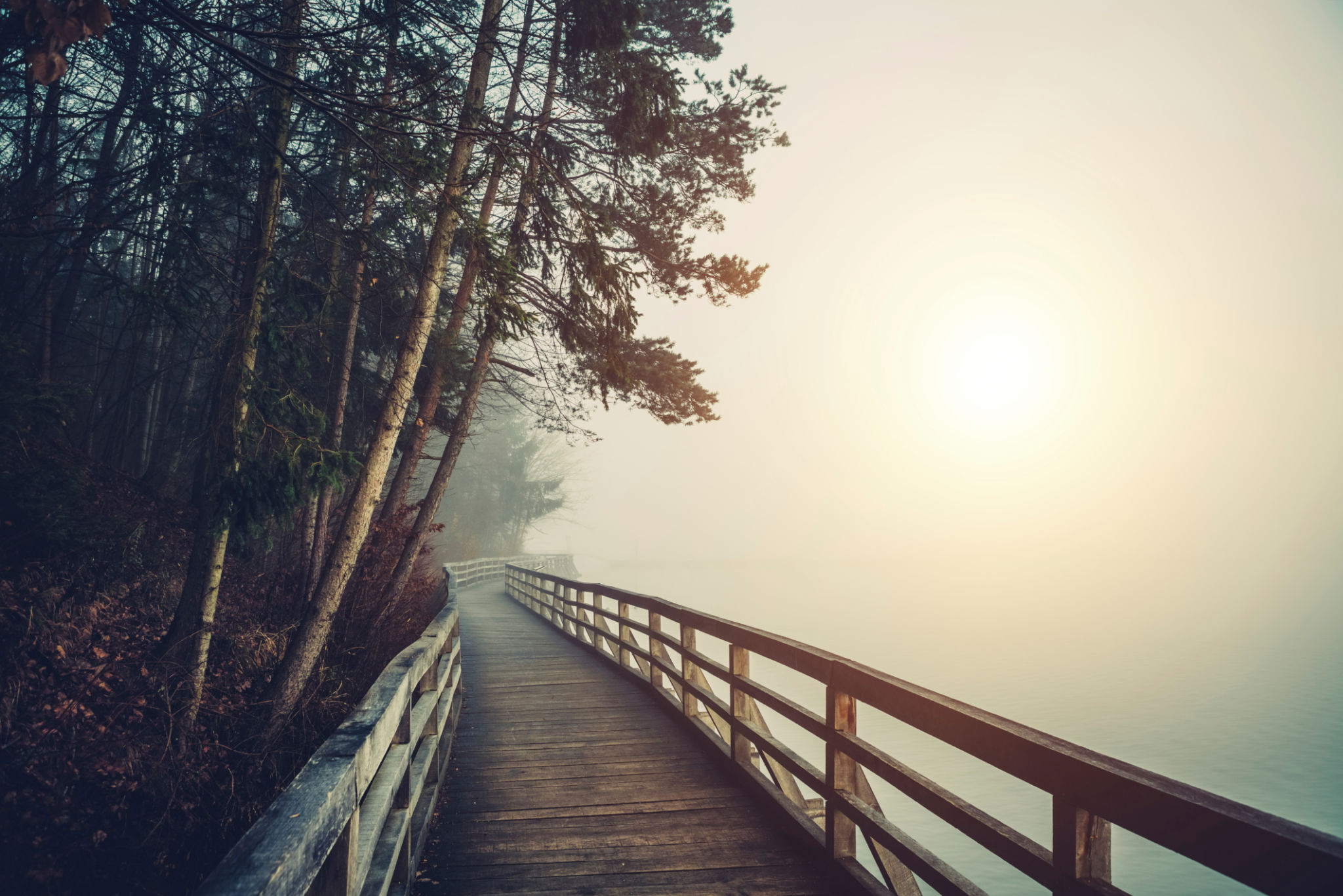 wooden bridge