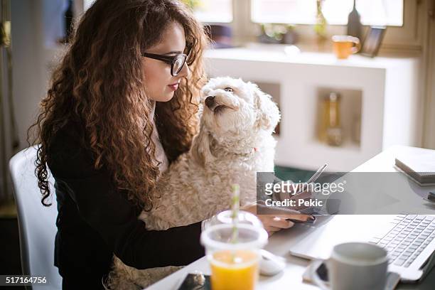 designer working at home office and holding her puppy - office dog stock pictures, royalty-free photos & images