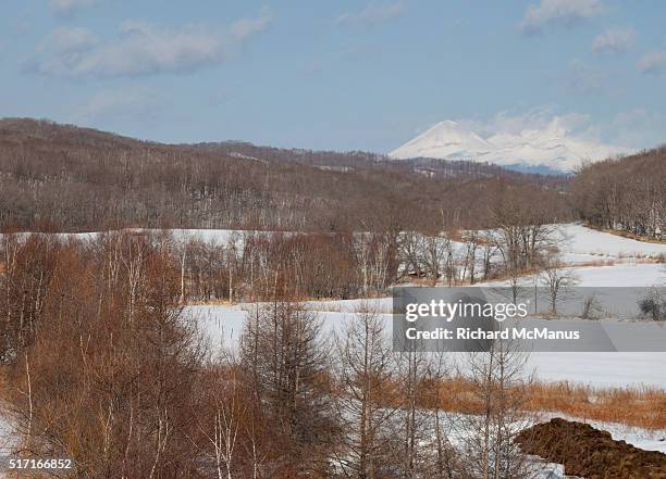 the akan volcanic range. - kushiro stock pictures, royalty-free photos & images