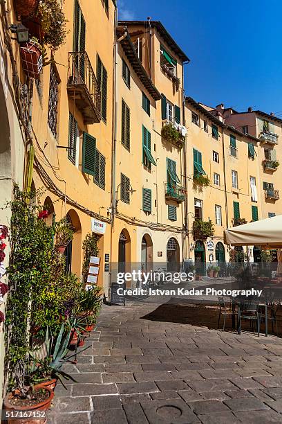 piazza dell'anfiteatro, lucca, italy - lucca stock pictures, royalty-free photos & images