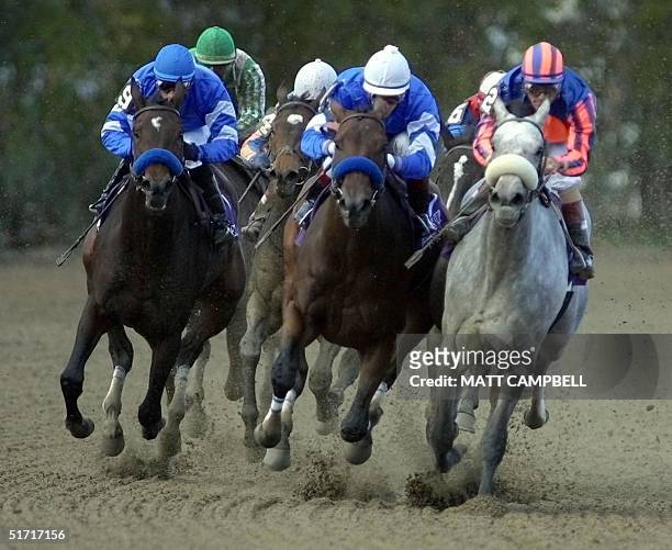 Tempera , Imperial Gesture and Bella Bellucci turn the corner into the backstretch during the Breeder's Cup Juvenile Fillies race27 October, 2001 at...