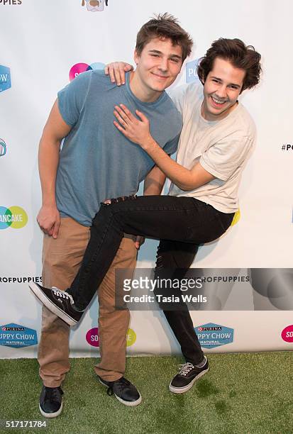 Vine and YouTube stars Alex Ernst and David Dobrik attend SoulPancake's Puppypalooza Party at SoulPancakes Headquarters on March 23, 2016 in Los...