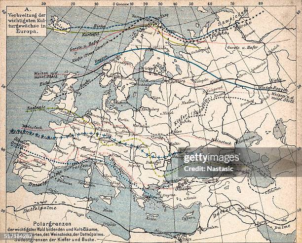 map of plant geography - navigational chart stock illustrations