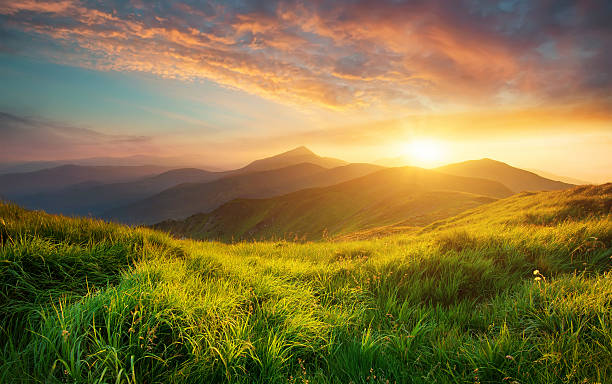 Nature and landscape