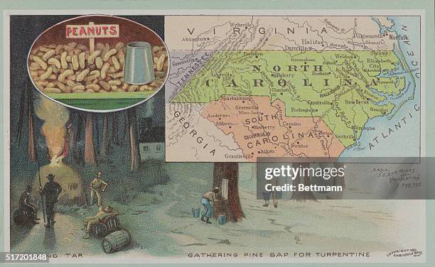 Map of North Carolina and illustrations of the state's economic producers, peanuts, the making of tar and gathering pine sap for turpentine. Undated...