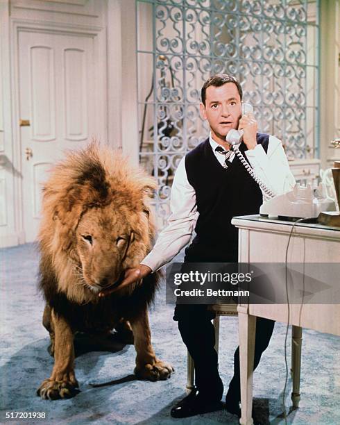 Universal City, Los Angeles, California: Movie still of Tony Randall, cast as an enthusiastic scientist who keeps a fully-grown Rhodesian lion as a...