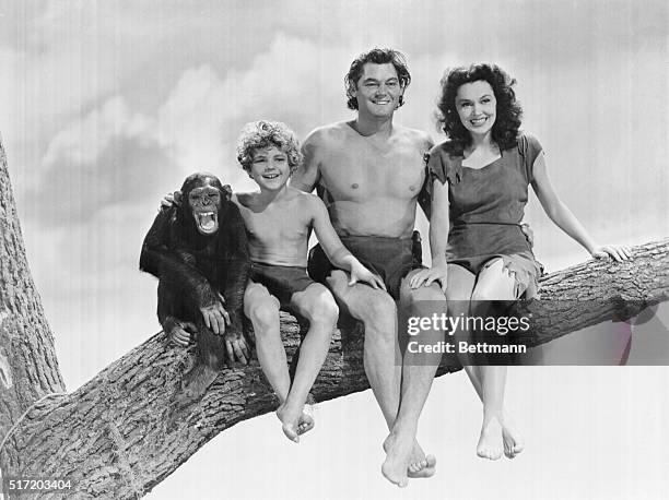 Left to right are Cheetah the Chimp, Johnny Sheffield as Boy, Johnny Weismuller as Tarzan, and Maureen O'Sullivan, in an undated publicity still. The...