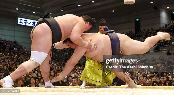 Mongolian yokozuna Harumafuji throws ozeki Kisenosato to win during day twelve of the Grand Sumo Spring Tournament at the Edion Arena Osaka on March...