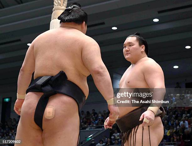 Mongolian yokozuna Hakuho and ozeki Goeido prepare for their bout during day twelve of the Grand Sumo Spring Tournament at the Edion Arena Osaka on...