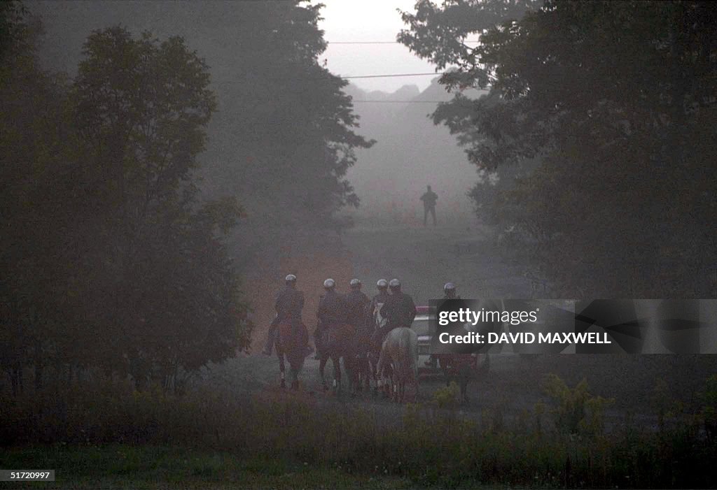 Mounted police make their way along an access road